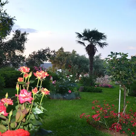 Apartman By The Sea Sukosan, Zadar - 6176