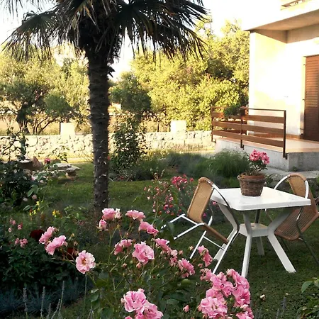 Apartman By The Sea Sukosan, Zadar - 6176